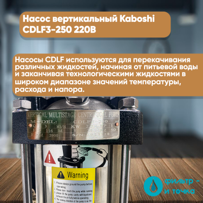 Насос_вертикальный_Kaboshi_CHDLF3_250_220В_ФИЛЬТР_и_точка_2_фото